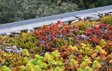 the cost of Radipole green roof installation