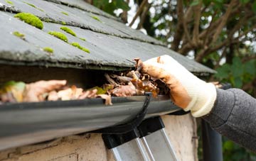 gutter cleaning Radipole, Dorset