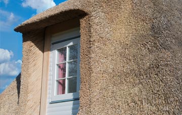 Radipole thatch roof disadvantages