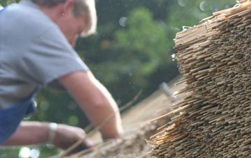 professional Radipole thatchers