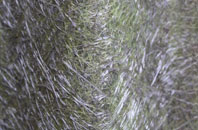 Radipole fibreglass roof work