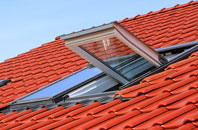 Radipole roof window